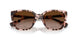 605813 - Pink - Brown Gradient