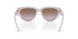 319368 - Violet - Violet Gradient Brown