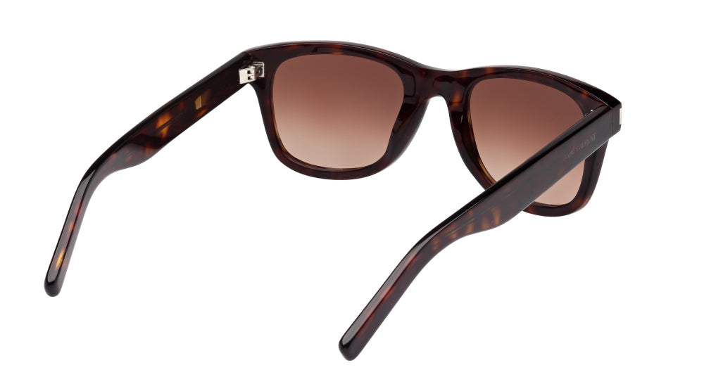 004 - Havana - Brown