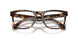 5026 - Tortoise