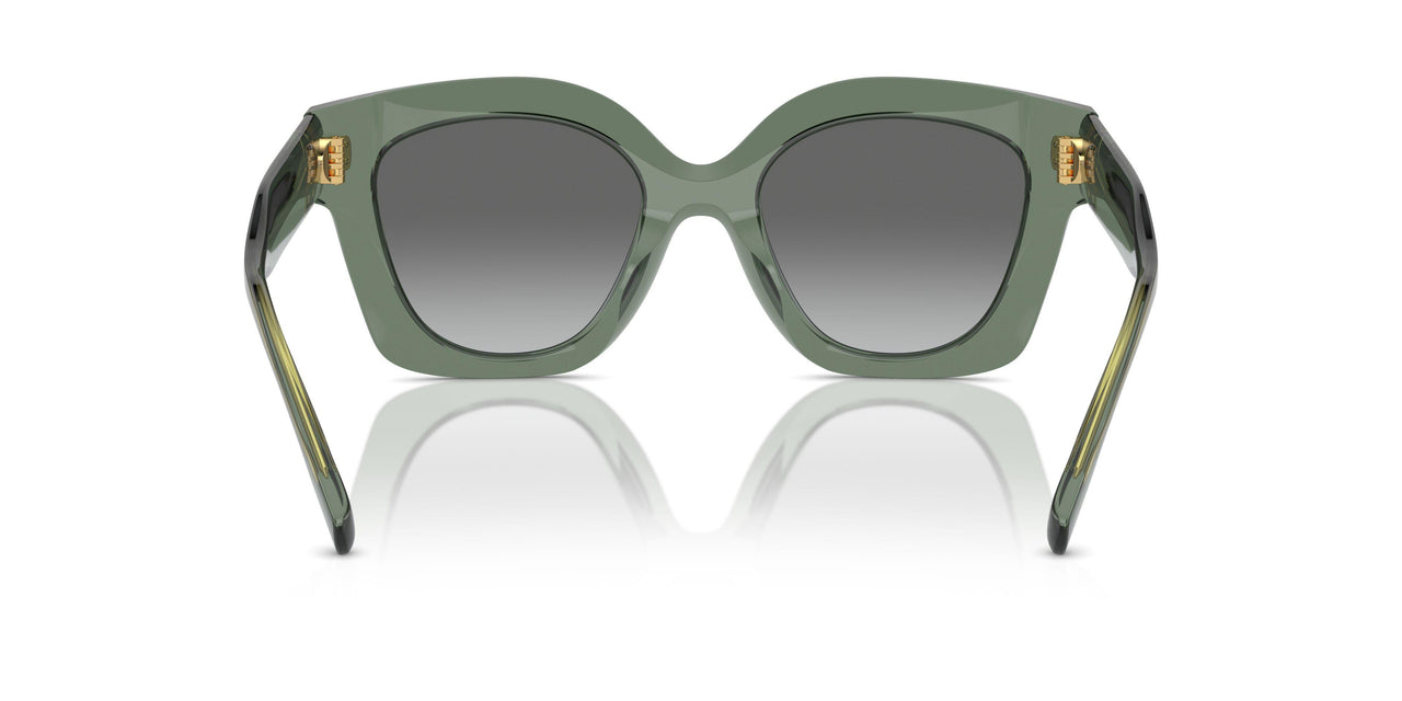 194111 - Green - Light Grey Gradient Dark Grey