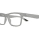 009 - Grey - Transparent