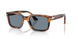 123556 - Brown - Light Blue
