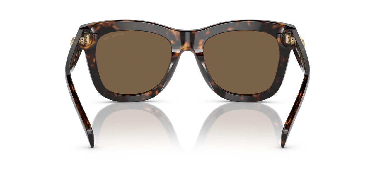 300673 - Tortoise - Dark Brown