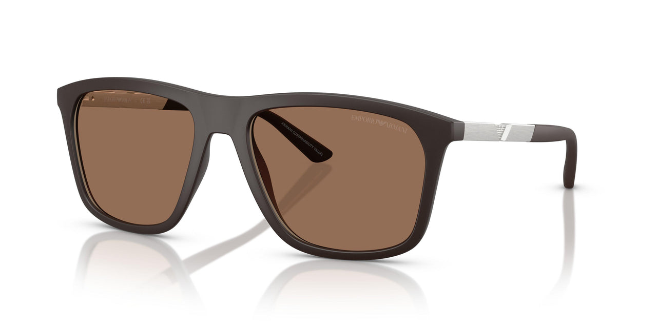 6186EF - Brown - Dark Brown Mirror Gold