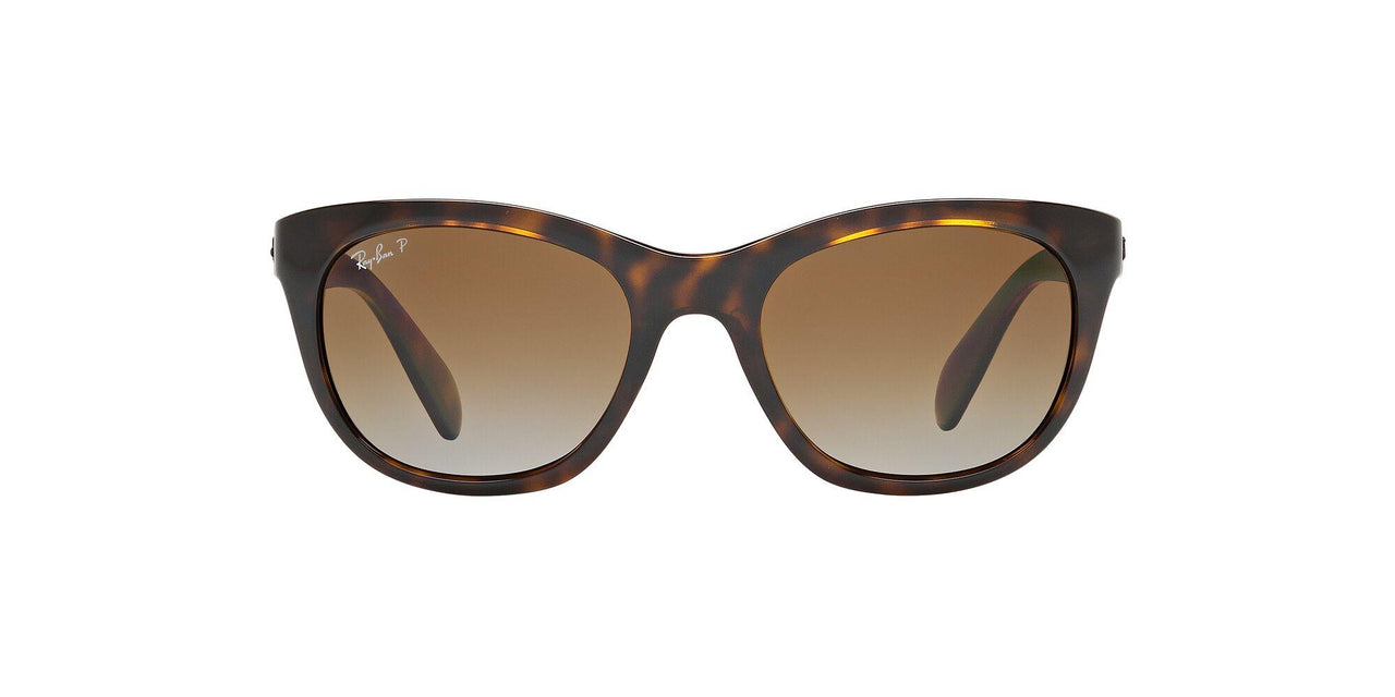 Ray-Ban 4216 Sunglasses