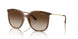 238613 - Brown - Gradient Brown