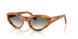 960/3A - Tortoise - Clear Gradient Green