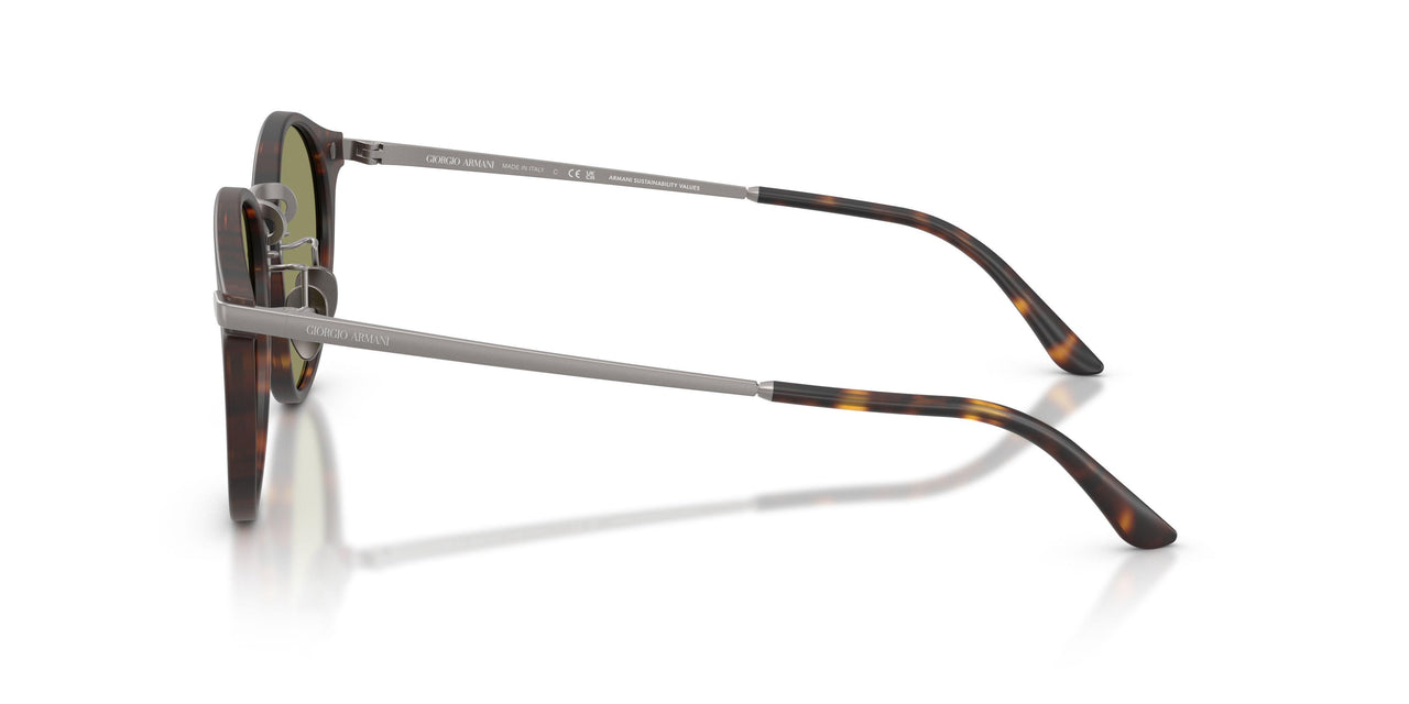 640353 - Tortoise - Green