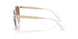 301513 - Transparent - Pink Gradient Dark Brown