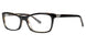 500 - Black/tortoise