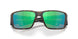907815 - Tortoise - Green Mirror