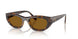271883 - Brown - Dark Brown Polar