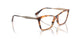 3200 - Tortoise