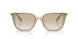 300311 - Brown - Gradient Light Grey