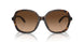 512074 - Tortoise - Brown Gradient