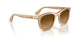 116985 - Brown - Light Brown Gradient Dark Brow