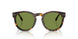 50034E - Brown - Solid Green