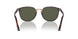 24/31 - Havana - Green