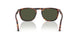 24/31 - Tortoise - Green