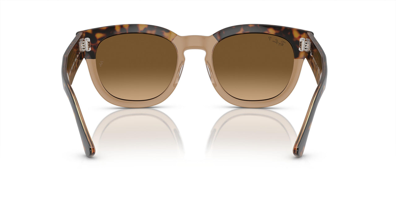 1292M2 - Gold - Brown