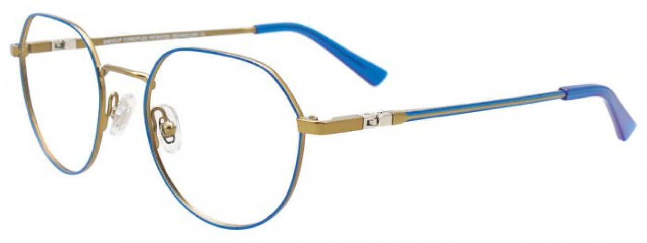 50 - Brown & Tortoise / Steel
