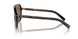 502/73 - Brown
