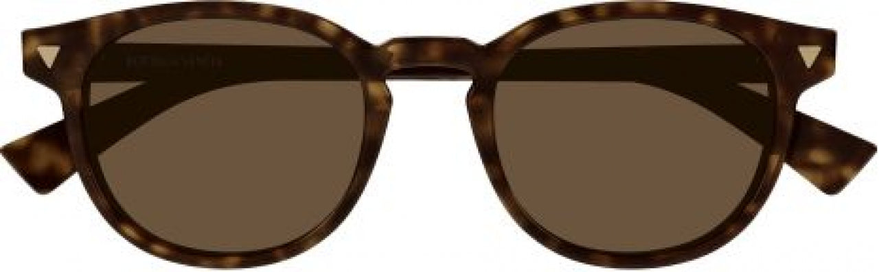 002 - Havana - Brown