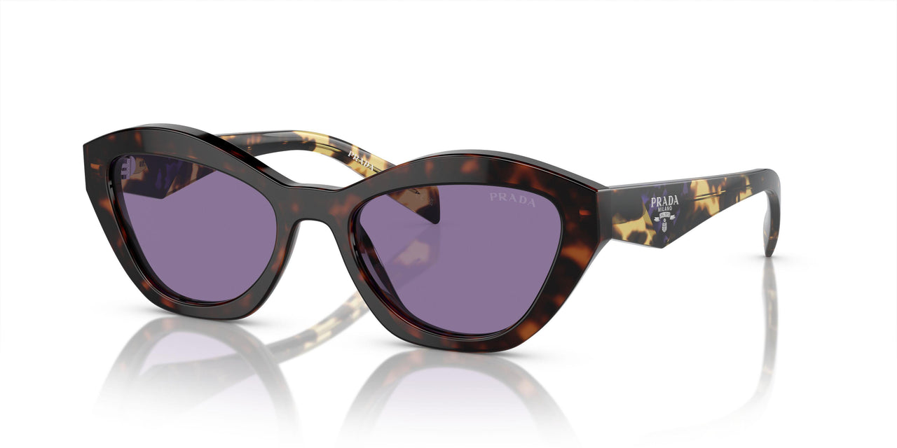 17N50B - Tortoise - Violet Mirror Internal Silver