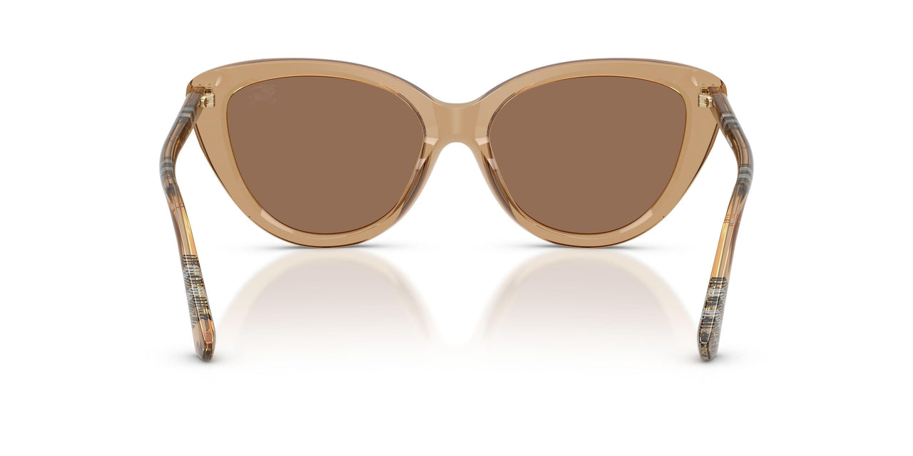416473 - Beige - Dark Brown
