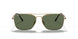 913658 - Gold - Dark Green