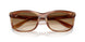 140351 - Tortoise - Clear Gradient Brown