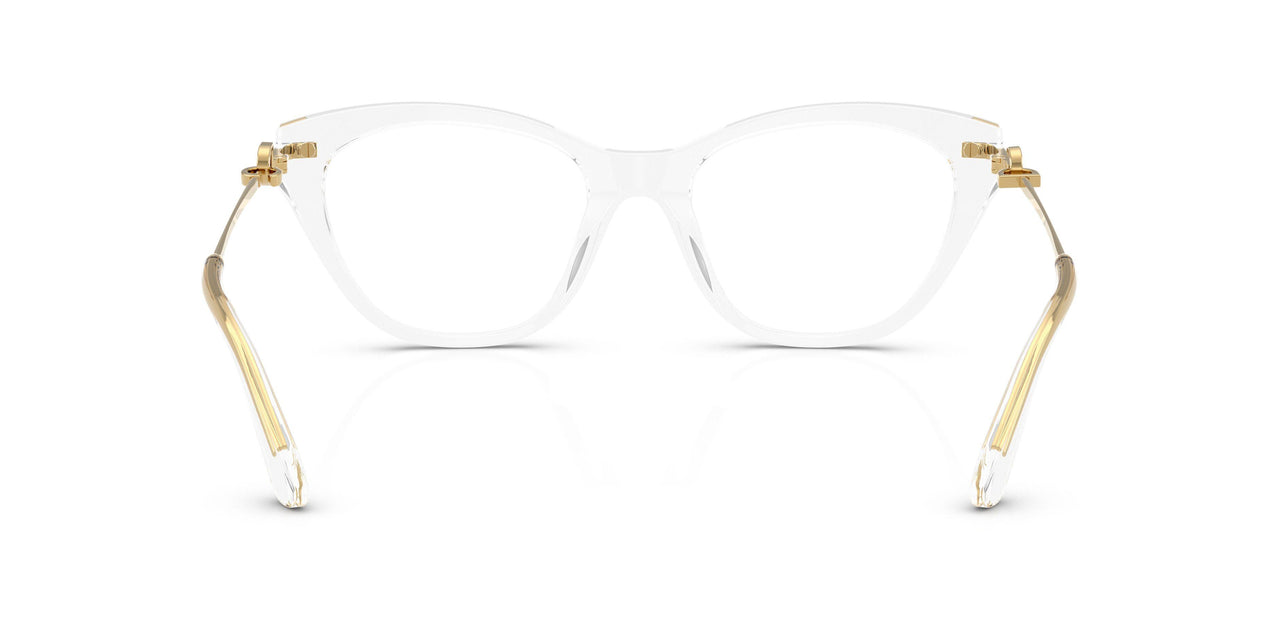 3133 - Transparent