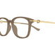 002 - Brown/Gold - Transparent