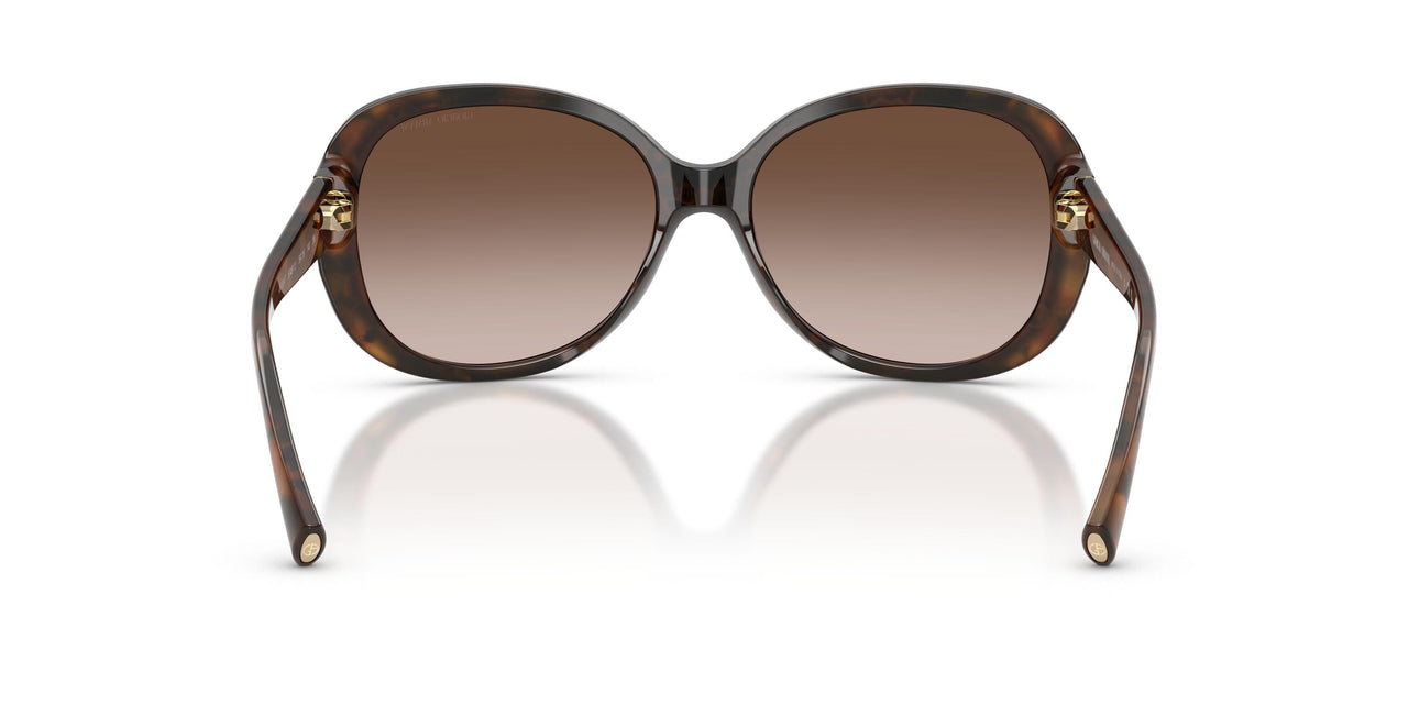 504913 - Black - Brown Gradient