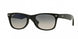 Ray-Ban New Wayfarer 2132F Sunglasses