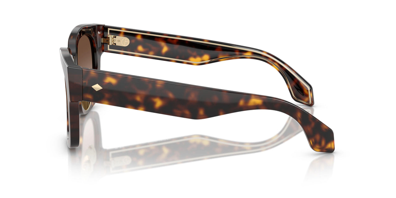 502613 - Tortoise - Gradient Brown