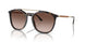 502613 - Tortoise - Gradient Brown