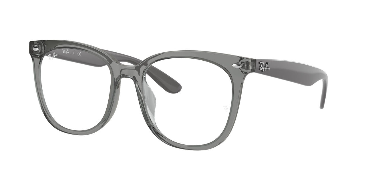 Ray-Ban 4379VD Eyeglasses