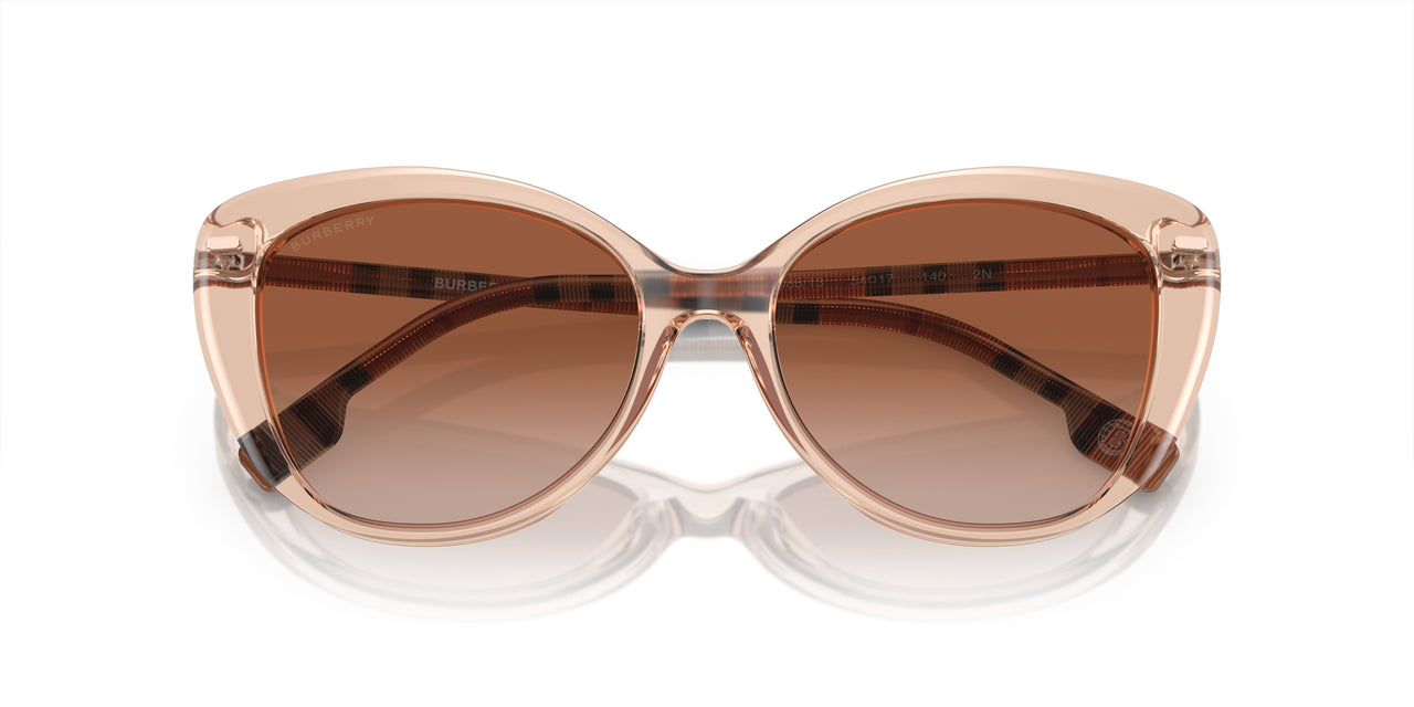 408813 - Pink - Brown Gradient
