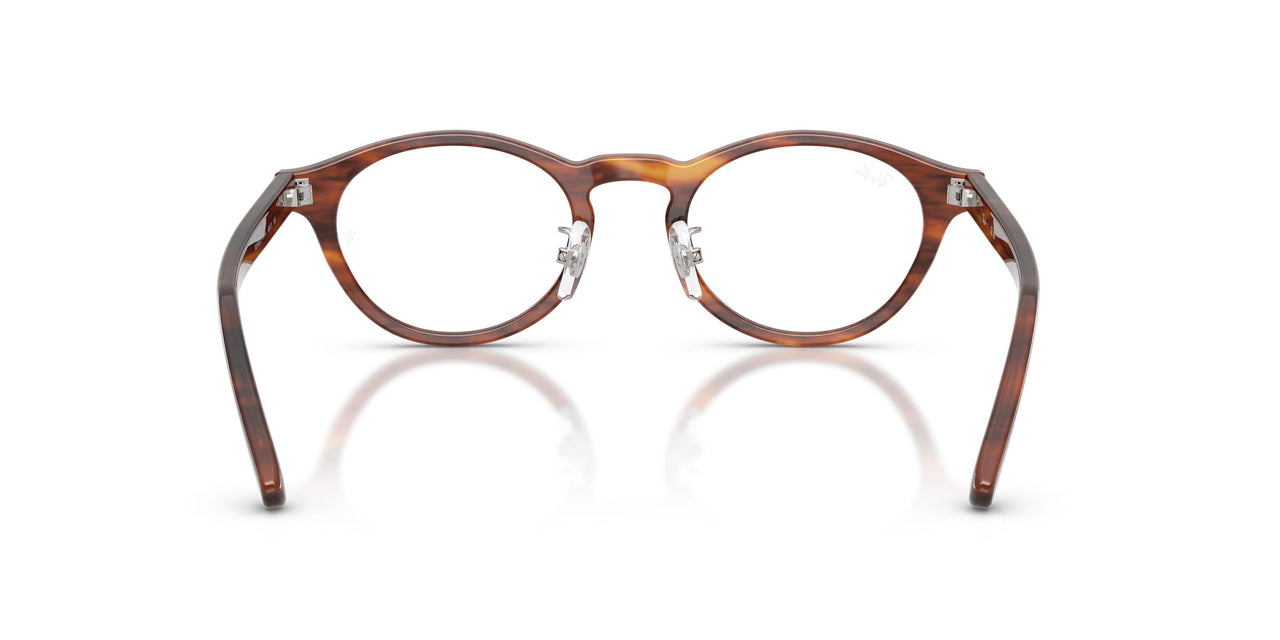 2144 - Brown - Demo Bio