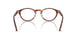 2144 - Brown - Demo Bio