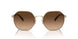 900574 - Gold - Brown Gradient