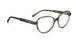 GRBR - Green Brown