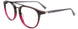 Takumi TK1169 Eyeglasses