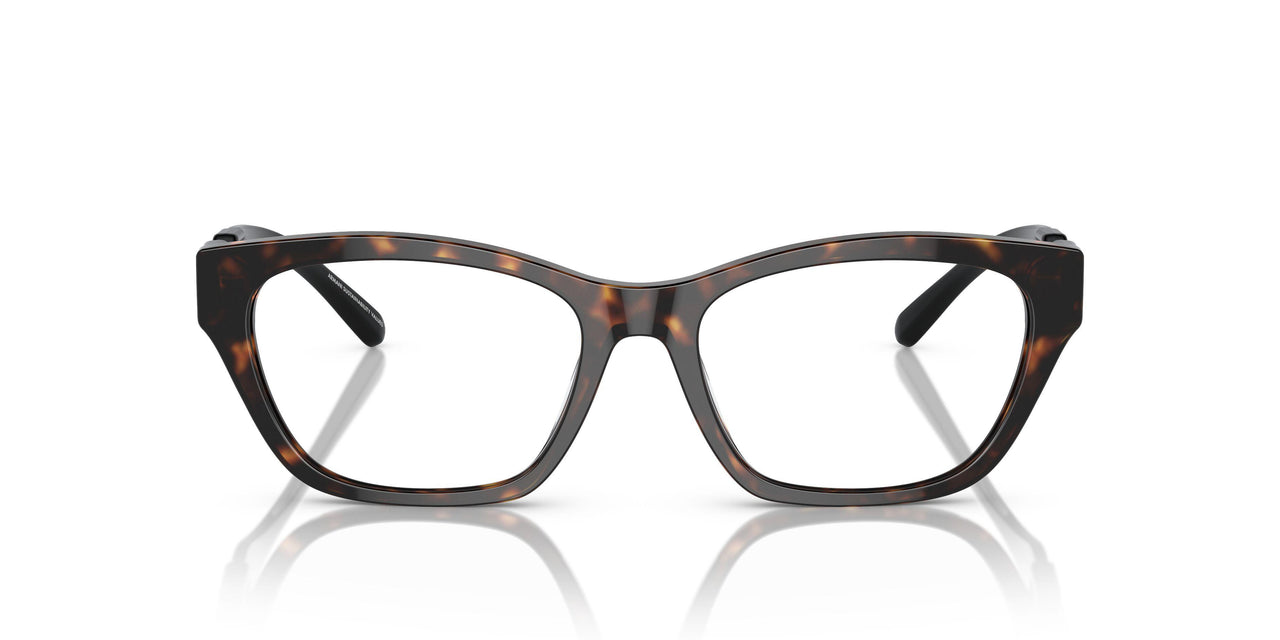 5026 - Tortoise