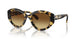 100913 - Tortoise - Brown Gradient