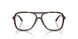 5002 - Tortoise