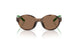 597473 - Tortoise - Dark Brown