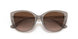 824013 - Brown - Gradient Brown